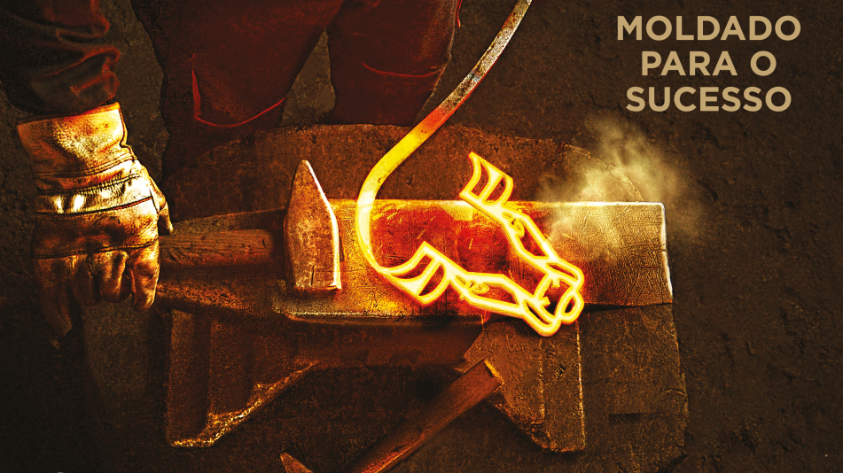 Serao as ivermectinas todas iguais